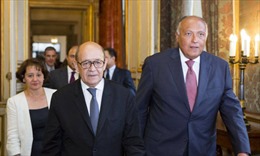 Pháp, Ai Cập thảo luận về các cuộc khủng hoảng khu vực 